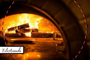 forni pizza