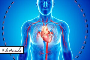 fattori di rischio cardiovascolare